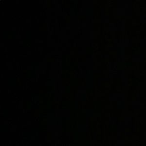 Meet your Posher, Bree